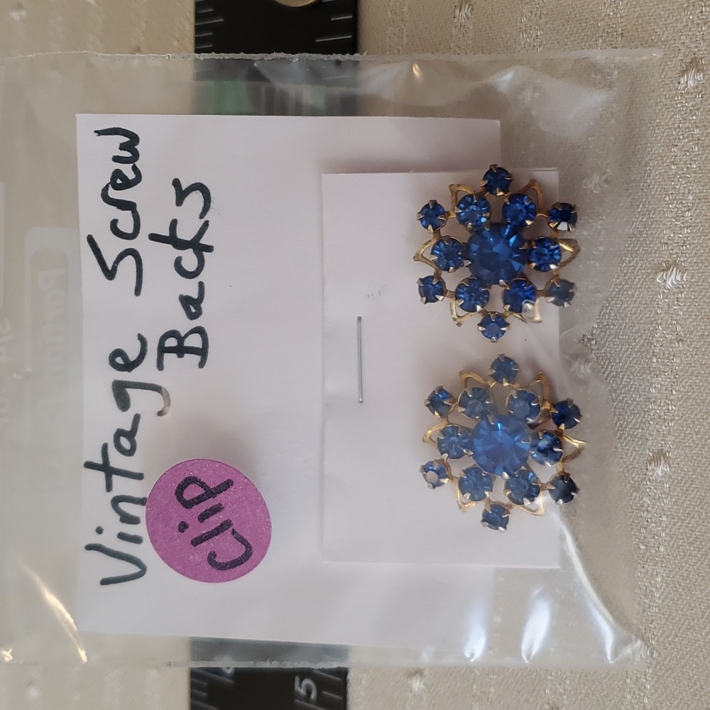 Vintage Royal Blue Screwbacks - Picture 1 of 5